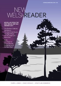 Cover New Welsh Reader : New Welsh Reader (New Welsh Review 116, Winter 2017)