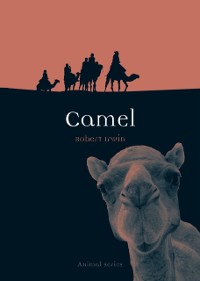 Cover Camel