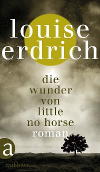 Cover Die Wunder von Little No Horse