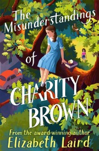 Cover Misunderstandings of Charity Brown