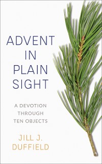 Cover Advent in Plain Sight