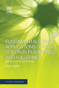 Cover Fundamentals and Applications of Nano Silicon in Plasmonics and Fullerines