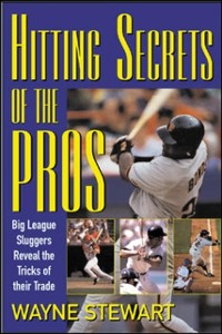Cover Hitting Secrets of the Pros