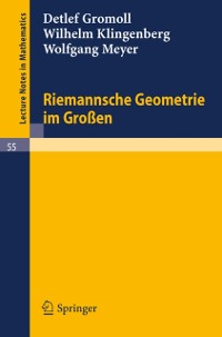 Cover Riemannsche Geometrie im Großen