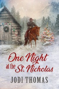 Cover One Night at the St. Nicholas