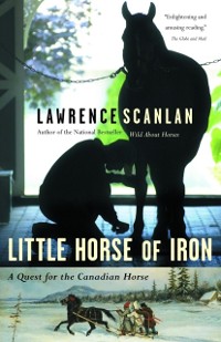 Cover Little Horse of Iron