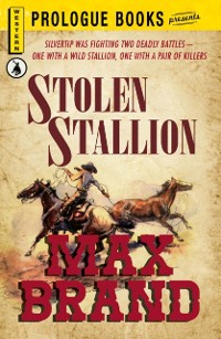 Cover Stolen Stallion