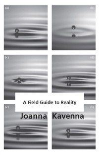 Cover Field Guide to Reality
