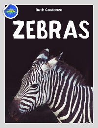 Cover Zebra Activity Workbook ages 4-8