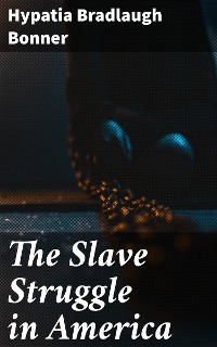 Cover The Slave Struggle in America
