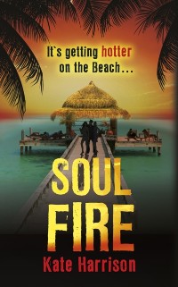Cover Soul Fire