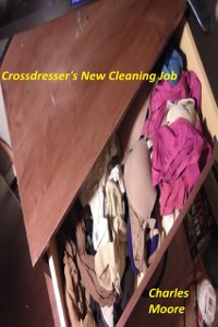 Cover Crossdresser's New Cleaning Job