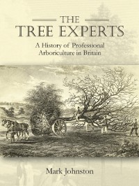Cover Tree Experts