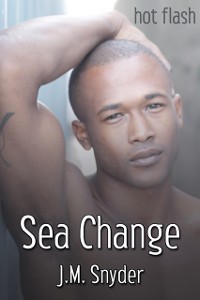 Cover Sea Change