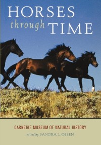 Cover Horses through Time