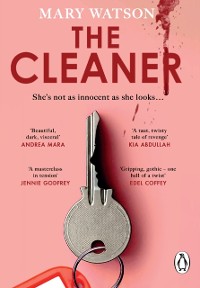 Cover Cleaner