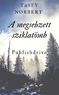 Cover A megsebzett sziklatömb