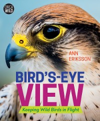 Cover Bird's-Eye View