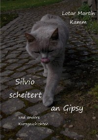 Cover Silvio scheitert an Gipsy