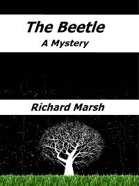 Cover The Beetle: A Mystery