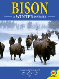 Cover Bison: A Winter Journey