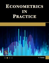 Cover Econometrics in Practice