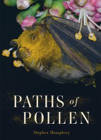 Cover Paths of Pollen