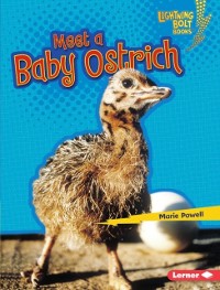 Cover Meet a Baby Ostrich