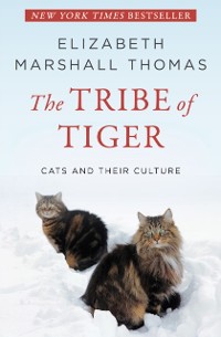 Cover Tribe of Tiger