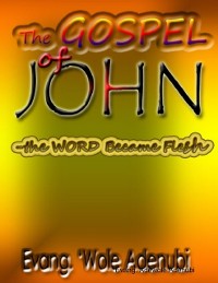 Cover Gospel of John &quote;-&quote; the Word Became Flesh&quote;
