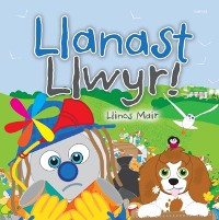 Cover Llanast Llwyr