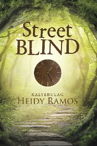 Cover Street Blind