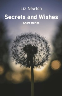 Cover Secrets and Wishes