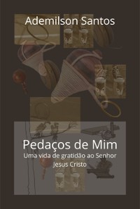 Cover Pedaços De Mim