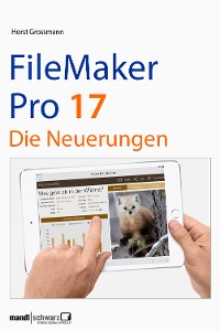 Cover FileMaker Pro 17