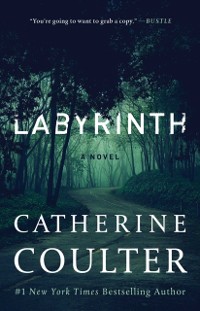 Cover Labyrinth