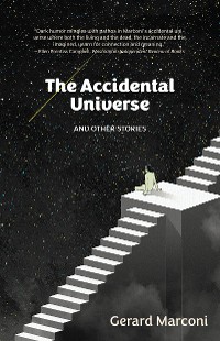 Cover The Accidental Universe and Other Stories