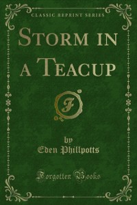 Cover Storm in a Teacup