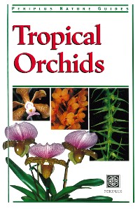 Cover Tropical Orchids of Southeast Asia