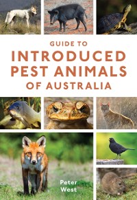 Cover Guide to Introduced Pest Animals of Australia