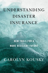 Cover Understanding Disaster Insurance