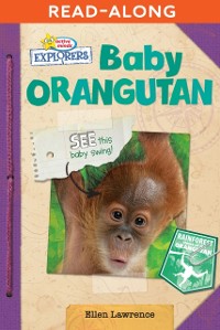 Cover Baby Orangutan