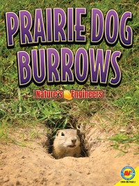 Cover Prairie Dog Burrows