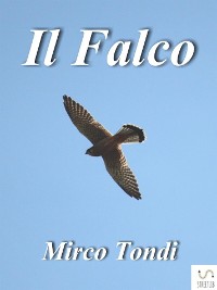 Cover Il Falco