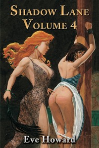 Cover Shadow Lane Volume 4: The Chronicles of Random Point, Spanking, Sex, B&D and Anal Eroticism in a Small New England Village