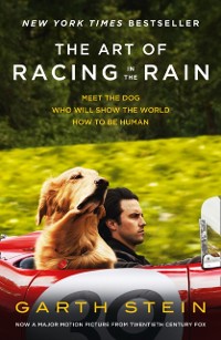 Cover Art of Racing in the Rain