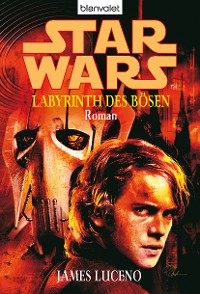 Cover Star Wars. Labyrinth des Bösen