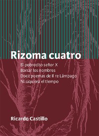 Cover Rizoma cuatro