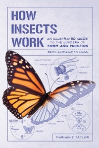Cover How Insects Work