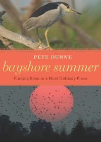 Cover Bayshore Summer